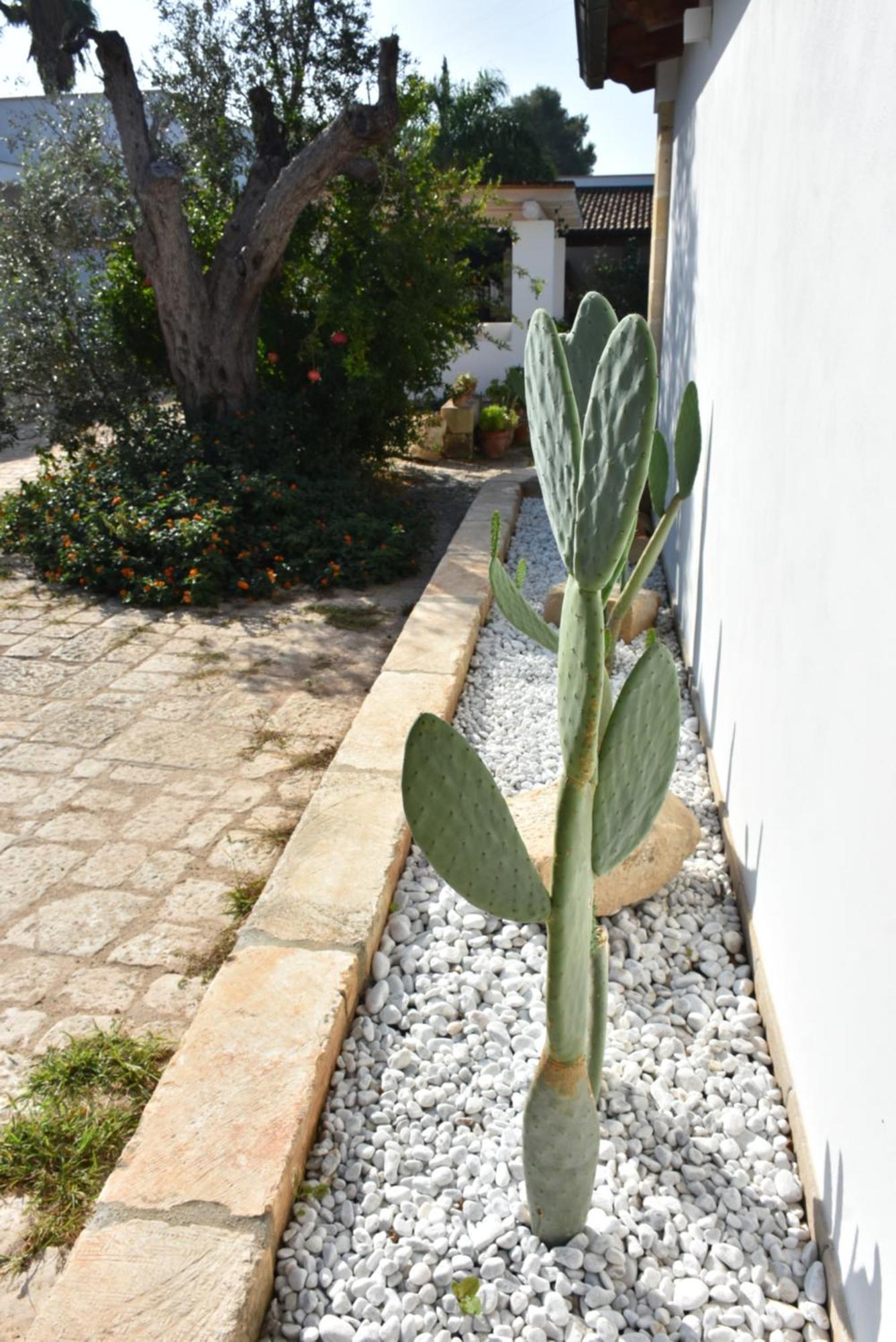 לבראנו Masseria Tenuta Flora Maria מראה חיצוני תמונה